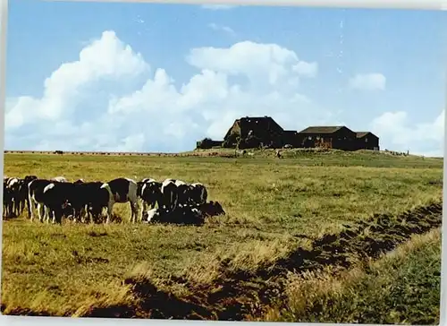 Hooge Hallig Hooge Hallig Volkertswarft Jugendlager * / Hooge /Nordfriesland LKR