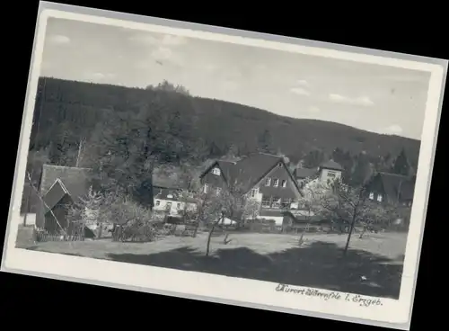 Baerenfels Erzgebirge  / Altenberg /Saechsische Schweiz-Osterzgebirge LKR