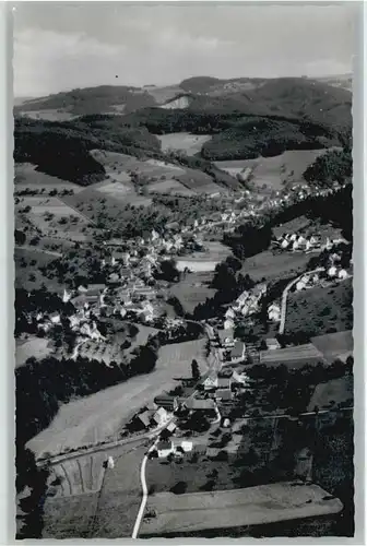 Weiher Odenwald Fliegeraufnahme *