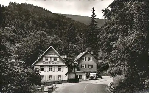 Seebach Ottenhoefen Schwarzwald Gasthof Pension Wolfsbrunnen * / Ottenhoefen im Schwarzwald /Ortenaukreis LKR