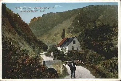 Trechtingshausen Morgenbachtal Rhein * / Trechtingshausen /Mainz-Bingen LKR