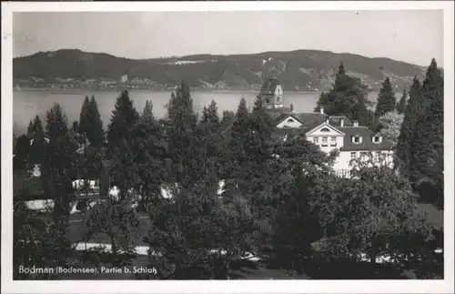 Bodman-Ludwigshafen Schloss  / Bodman-Ludwigshafen /Konstanz LKR