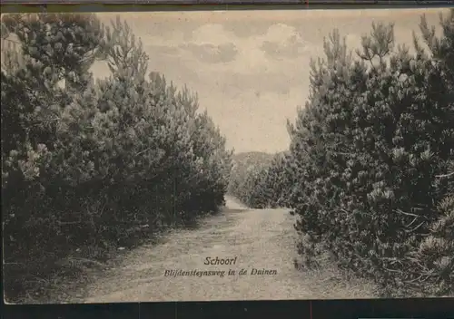 Schoorl Duinen / Bergen Niederlande /