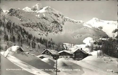 Radstaedter Tauern Felseralm / Salzburg /Salzburg und Umgebung