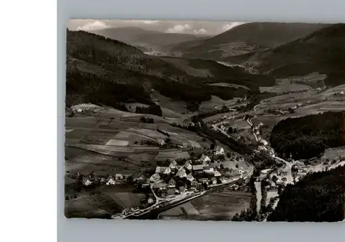 Roet Schoenegruend Fliegeraufnahme / Murg /Waldshut LKR