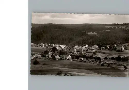 Haeusern Schwarzwald  / Haeusern /Waldshut LKR