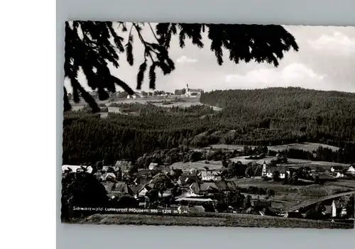 Haeusern Schwarzwald  / Haeusern /Waldshut LKR