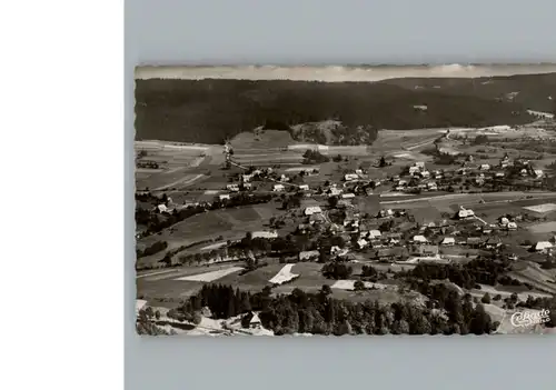 Haeusern Schwarzwald Fliegeraufnahme / Haeusern /Waldshut LKR