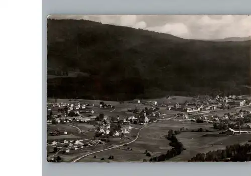 Frauenau Fliegeraufnahme / Frauenau /Regen LKR