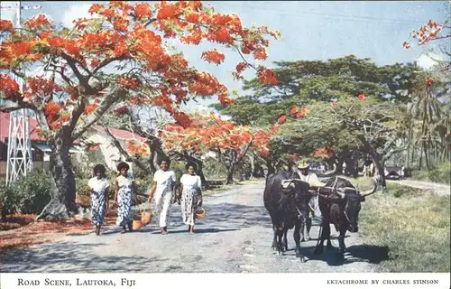 Lautoka Fiji Fidschi-Inseln