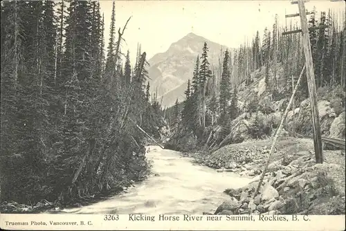 Field Kicking Horse River near Summit Rockies