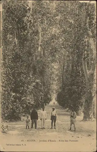 Alger Algerien Jardin Essai Allee des Platanes / Algier Algerien /