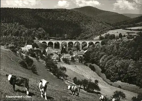 Friedrichsdorf Eberbach Kuehe Bruecke / Eberbach /Heidelberg Stadtkreis