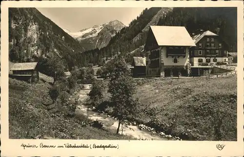 Walsertal Kleinwalsertal Gruener Baum / Oesterreich /