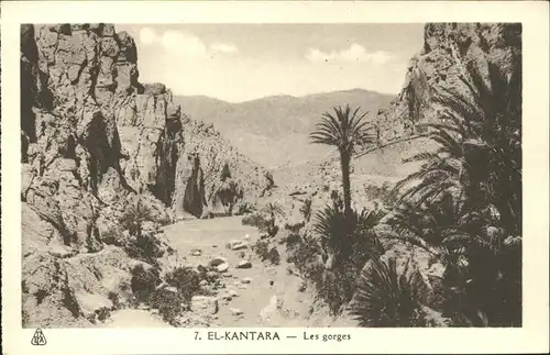 El Kantara Les gorges palmes