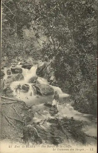 Blida Algerien Les Gorges de la Chiffa Le Ruisseau des Singes