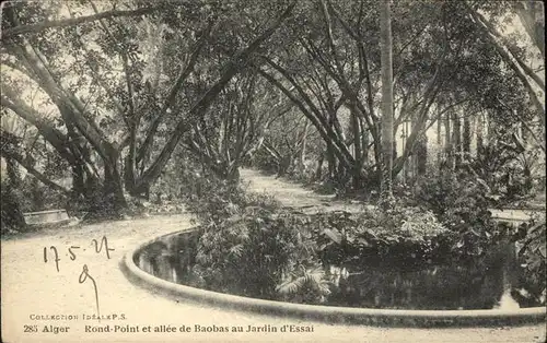 Alger Algerien Jardin essai rond point et allee de Baobas / Algier Algerien /