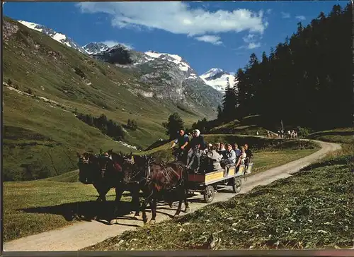 Sils Engadin Graubuenden Pferde-Ausflugs-Omnibus /  /Bz. Maloja