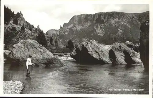 Traful Parque Nacional Partida al rio pescador Kat. 