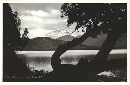 Lago Mascardi Orilla del lago Cerro Tronador