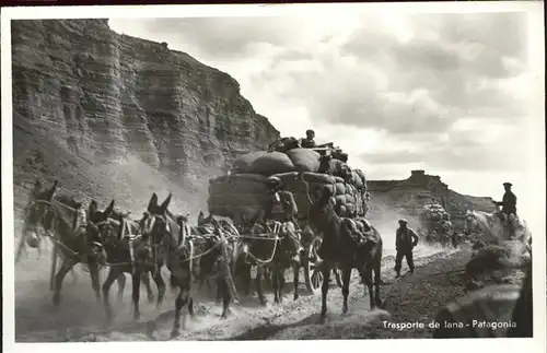 Patagonia Patagonien Trasporte de lana burro Kat. Argentinien