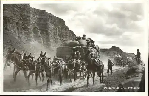 Patagonia Patagonien Trasporte de lana burro Kat. Argentinien