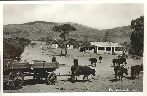 Transvaal Suedafrika Ferienheim Bergheim Ochsenkarren