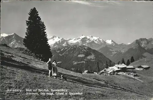 Hornberg Saanenmoeser Blick auf Spitzfluh Sanetschhorn Oldenhorn Staldenfluh /  /