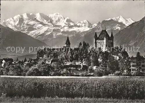 Thun BE Schloss mit Blueemlisgruppe Kat. Thun