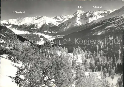 Zernez GR Blick vom Ofenpass gegen Muenstertal und Ortler Kat. Zernez