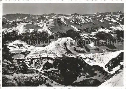 Saentis AR Obertoggenburg Kat. Saentis