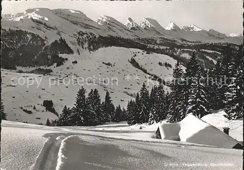 Toggenburg mit Churfirsten