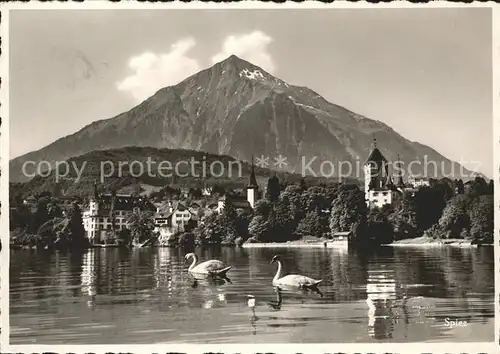 Spiez BE Thunersee Schloss Hotel Spiezerhof  Kat. Spiez