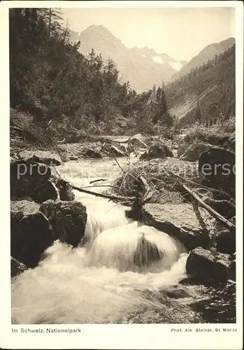 Graubuenden Kanton Partie im Schweizer Nationalpark Kat. Chur