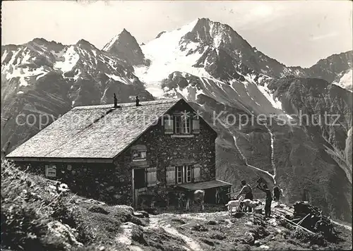 Windgaellenhuette Maenner Ziegen Kuehe Oberalpstock Kat. Bristen