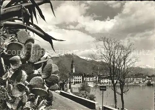 Ascona TI Panorama Lago Maggiore / Ascona /Bz. Locarno