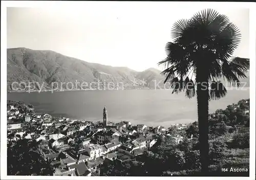 Ascona TI Panorama Lago Maggiore / Ascona /Bz. Locarno