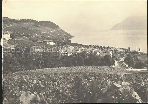 Lavaux VD Panorama Lac Leman Kat. 