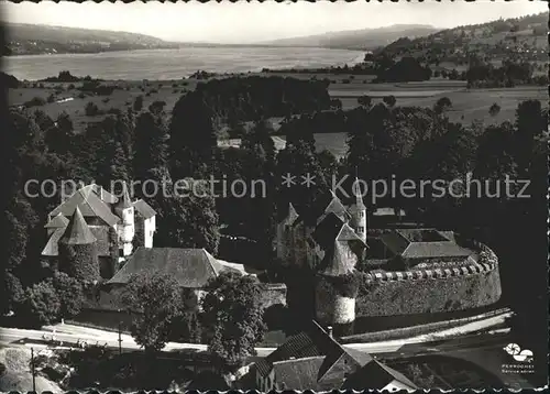 Seengen AG Fliegeraufnahme Schloss Hallwyl Kat. Seengen