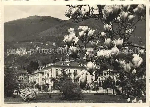 Locarno Motivo / Locarno /Bz. Locarno