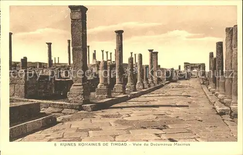 Timgad Ruines Romaines Decumanus Maximus Historische Staette Kat. Algerien