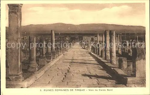 Timgad Ruines Romaines Le Cardo Historische Staette Kat. Algerien