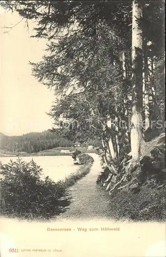 Davosersee Weg zum Hoehwald Kat. Davos