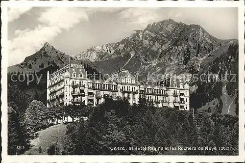 Caux VD Hotel Regina et les Rochers de Naye Kat. Caux