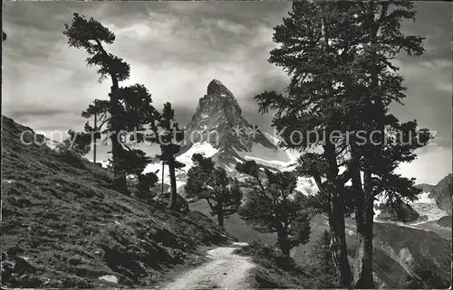 Zermatt VS Arven auf Riffelalp mit Matterhorn Kat. Zermatt