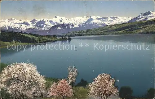 Hallwilersee im Seetal mit Alpenpanorama Kat. Hallwil