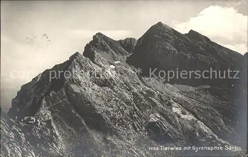 Tierwies mit Gyrenspitze Saentis Kat. Tierwies