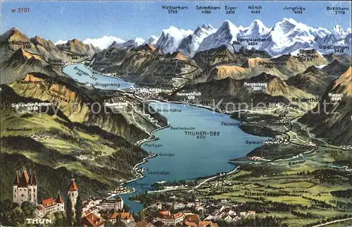 Thunersee und Umgebung Relief Panoramakarte Kat. Thun