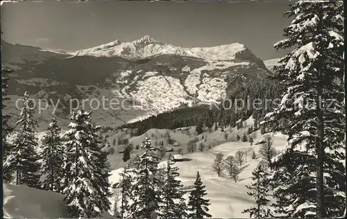 Grindelwald Lauberhorn Tschuggen Maennlichen Kat. Grindelwald