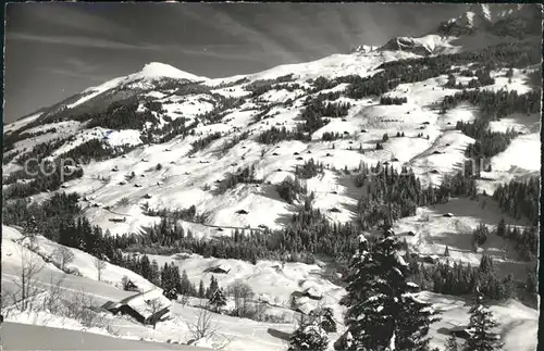 Hirzboden Adelboden Elsighorn / Adelboden /Bz. Frutigen